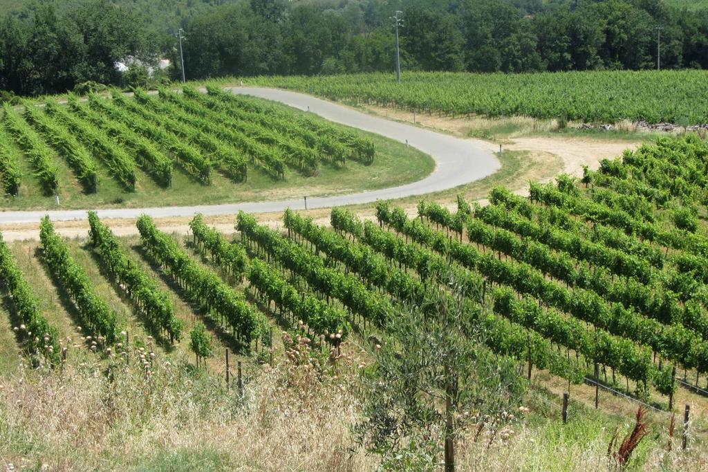 מרקאטאלה ואל די פזה Winery Houses In Chianti מראה חיצוני תמונה